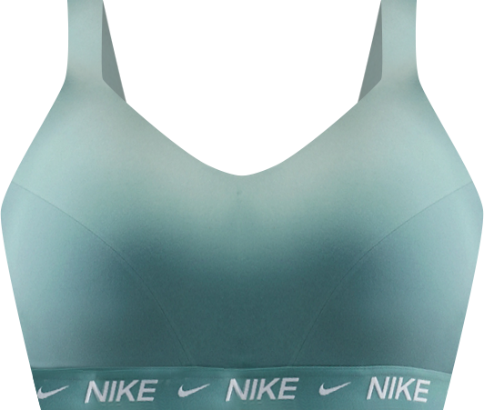 Nike Indy High Support Women's Padded Adjustable Sports Bra (Plus Size)