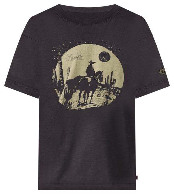 Men's Relaxed Fit Short Sleeve Desert Cowboy Crewneck T-Shirt