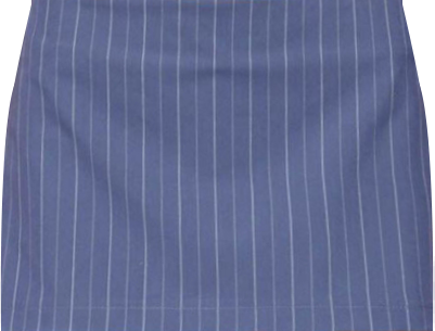 Women's Frankey Pinstripe Mini Skort