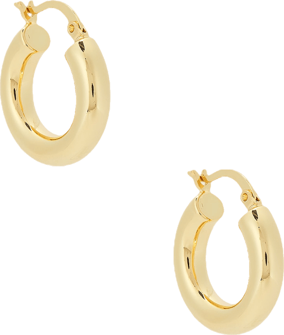 Dominique Small Hoop