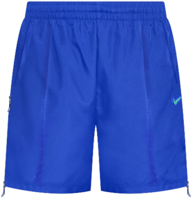 Nike Project F.R.O.G. Men's Shorts