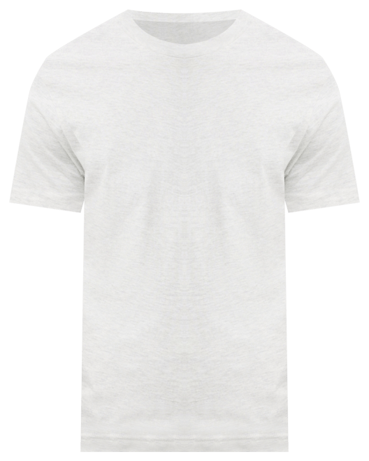 Men's Classic Fit T-Shirt