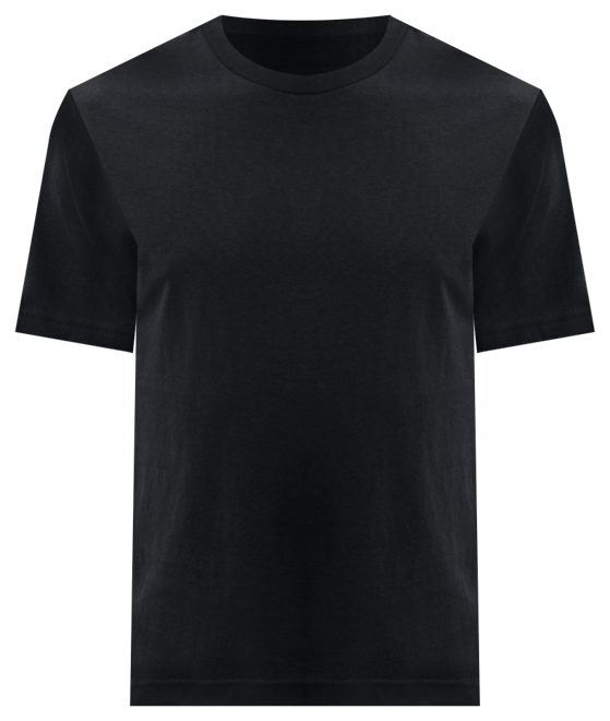 Men's Classic Fit T-Shirt