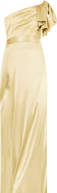 Women's One Shoulder Draped Sleeve Gown