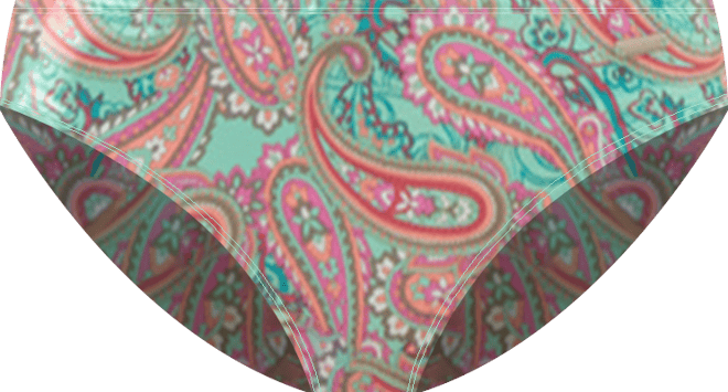 Women's Paisley Print Classic Bikini Swimsuit Bottom