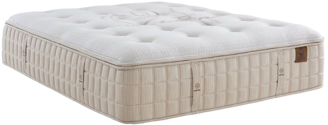 Aster 16.5" Trim Line Plush Mattress Set, Twin, Exclusively at Macy's