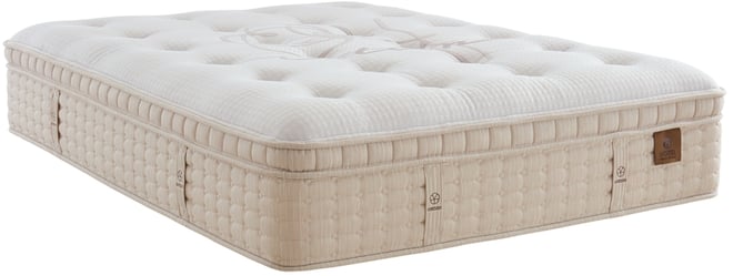 Violet 16" Plush Euro Top Mattress Set, Twin, Exclusively at Macy's