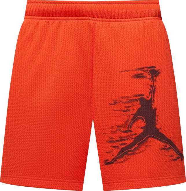 Jordan Sport Short à motif Dri-FIT pour homme