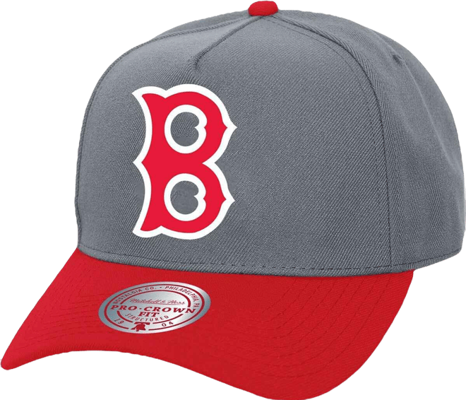 Men's and Women's Gray Boston Red Sox Basic Coop Pro Adjustable Hat