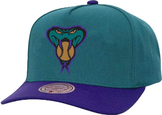 Men's and Women's Teal Arizona Diamondbacks Basic Coop Pro Adjustable Hat