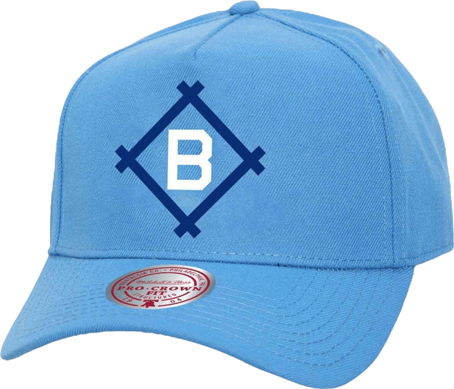 Men's and Women's Blue Brooklyn Dodgers Basic Coop Pro Adjustable Hat