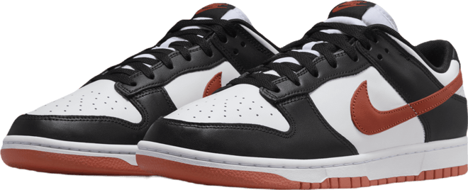 Nike Dunk Low Retro Men's Shoes