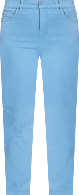 Petite Amanda High Rise Straight Leg Jeans, Short