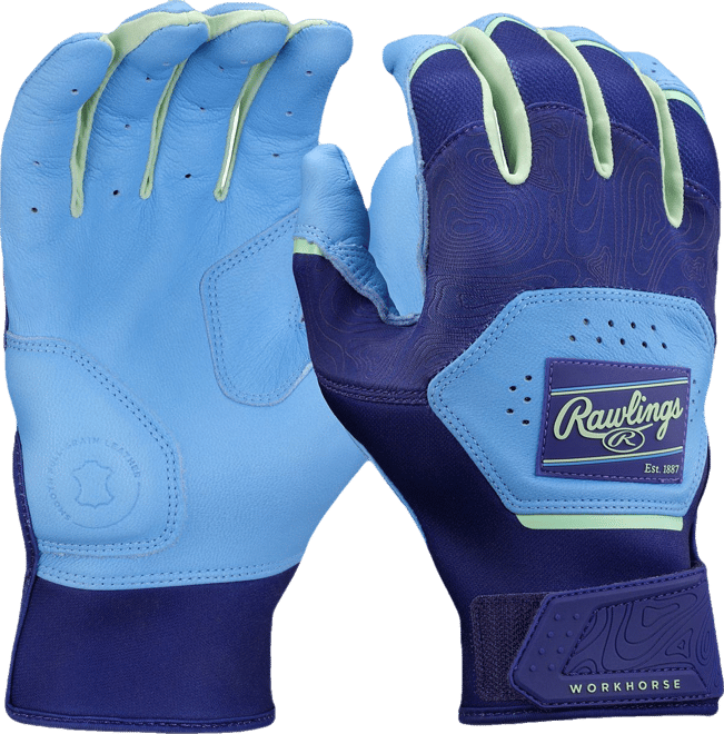 Batte De Baseball Easton Alpha ALX Modèle USA YBB23AL11 - 28 Pouces / 17 Oz (-11) - Jeune