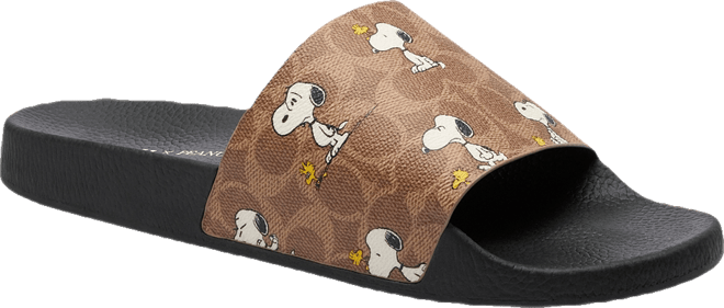 COACH X Peanuts Men's Signature Canvas Snoopy Print Pool