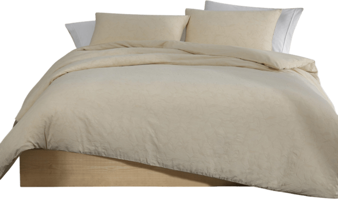 Closeout!  Branching Leaves Cotton 3-Pc. Duvet Cover Set, Queen