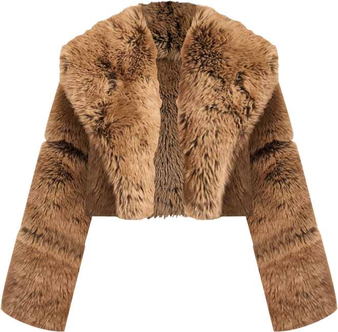 Women Yadavi Brown Faux Fur Cropped Jacket