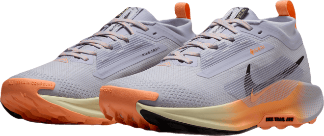 ナイキ ペガサス トレイル 5 GORE-TEX ウィメンズ ウォータープルーフ トレイル ランニングシューズ