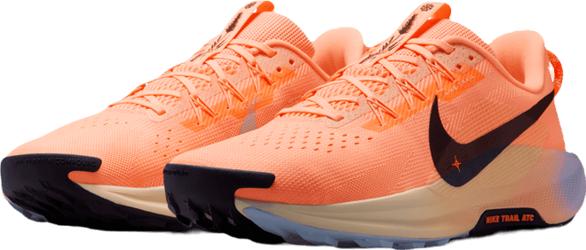 Nike Pegasus Trail 5 Men's Trail Running Shoes