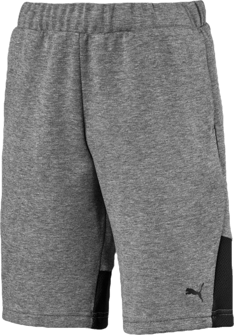PUMA Tech Shorts, Kids