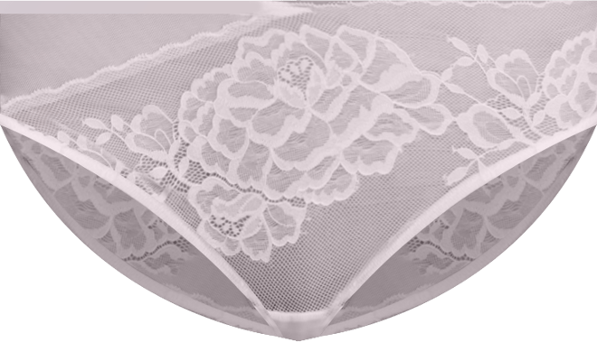 Women's Flora Lace Bikini Underwear 773150