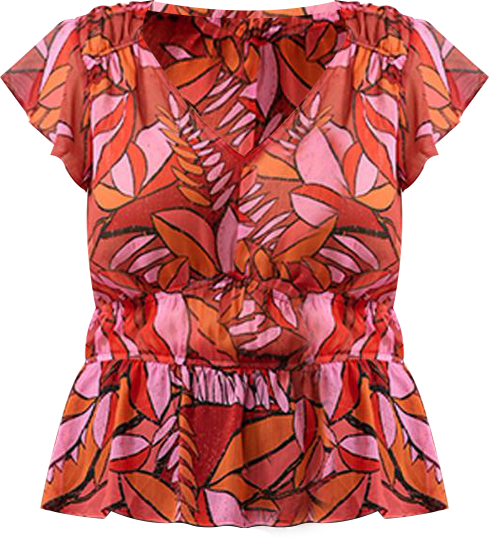 Aster Sheer Print Top