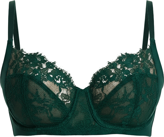 Women's Entice Lace Full Coverage Underwire Bra