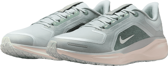 Nike Pegasus 41 GORE-TEX Men's Waterproof Road Running Shoes