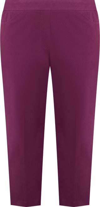 Plus Size Urban Legend Fitted Twill Pull On Short Length Pants