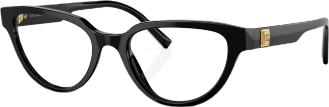 Women's Eyeglasses, DG3358 53