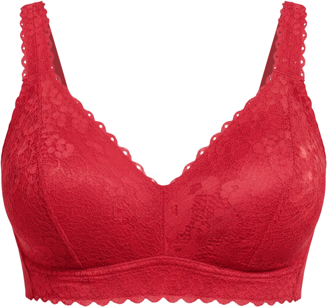 Women's Adriana Wire-Free Lace Bralette, Blackberry, 30I