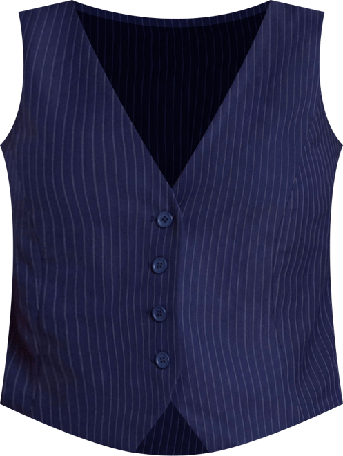 Women's Plus Size Pinstripe Suit Vest