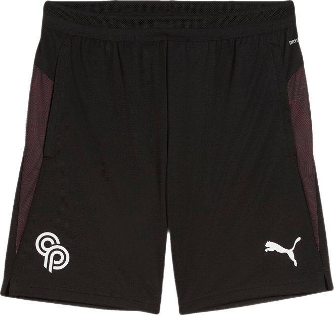 PUMA Christian Pulisic Never Stop Men's Soccer Training Shorts