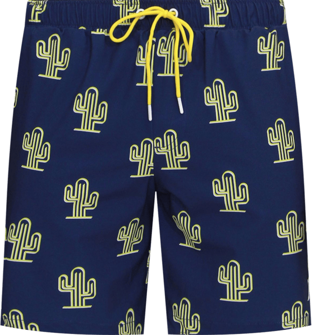 Men's Swim Shorts