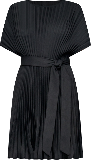 Sunburst Pleated Fit & Flare Dress