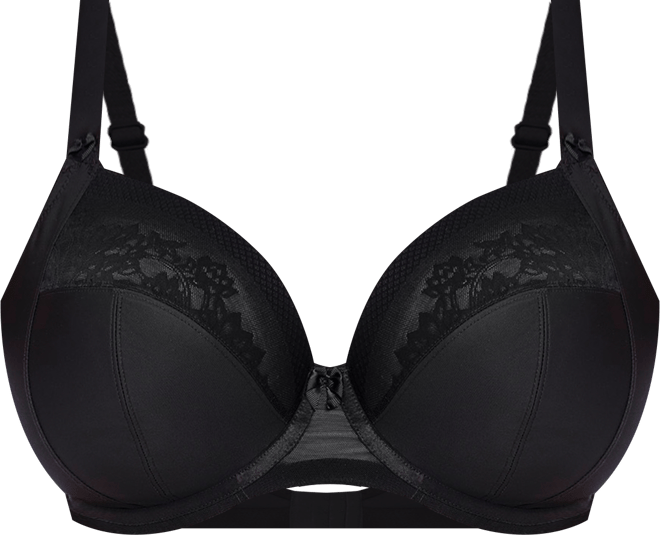 Women's Nerina Full-Figure Underwire Plunge Bra EL302734