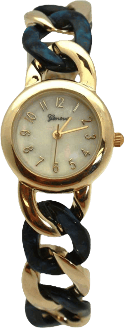 Navy Gold Chain and Tortoise Strap Women Watch