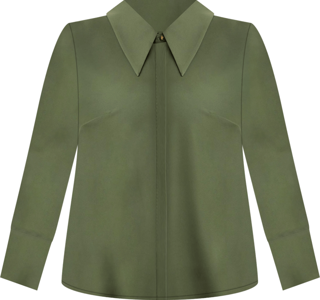 Women's Plus Size Pointed Collar Button Up Shirt