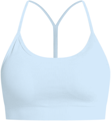 DSG Women's Momentum T-Back Sports Bra | Dick's Sporting Goods