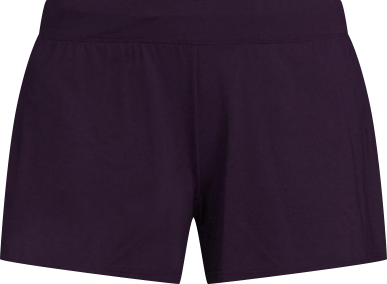 Women's Chlorine Resistant Smoothing Control Curvy 3" Swim Shorts