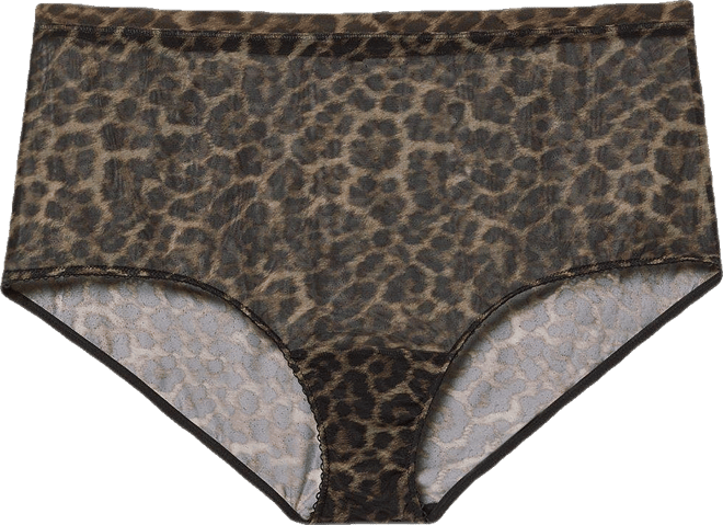 Mesh Mid-Rise Brief Panty
