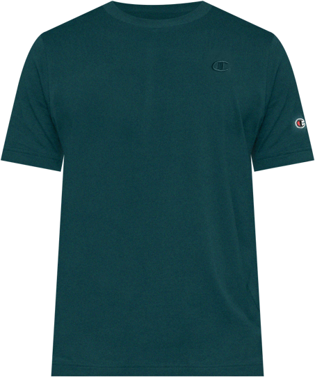 Men's Cotton Jersey T-Shirt