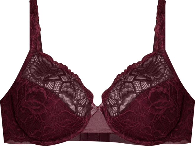 Women's Lace Desire 2-Ply Underwire Comfort Bra 6543