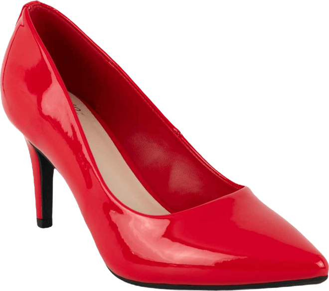 Women's Bevery Pointed Toe Stiletto Pumps