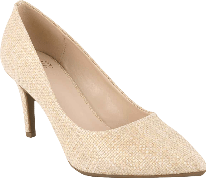 Women's Bevery Pointed Toe Stiletto Pumps