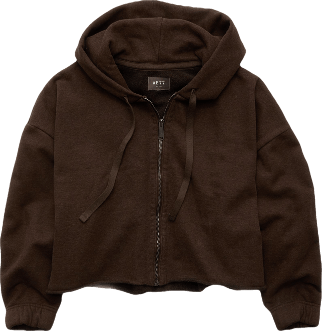 AE77 Premium Zip-Up Hoodie | American Eagle