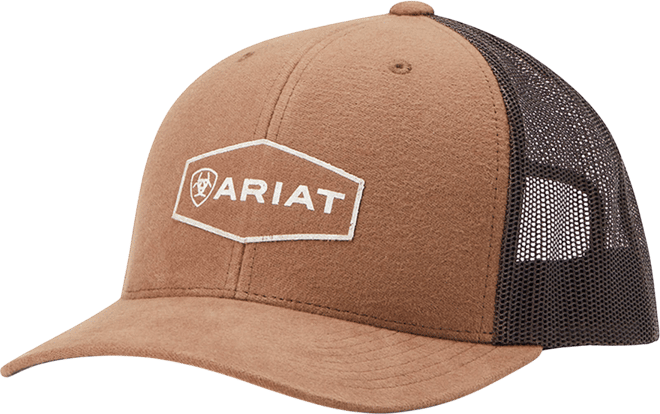 Men's Hex Logo Patch Cap in Brown by Ariat