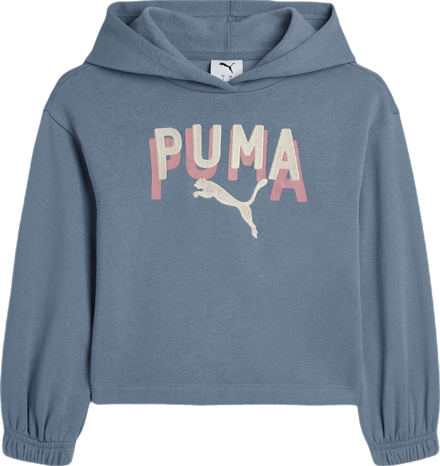PUMA Class Pack Fleece Hoodie, Toddlers