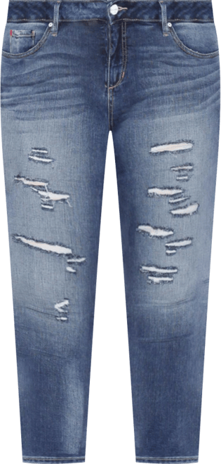 Plus Size Mid Rise Ankle Skinny Jeans