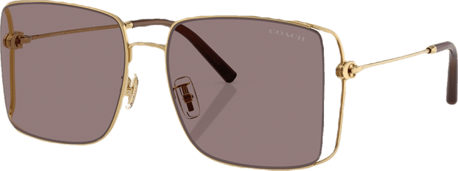 Women's Large Sunglasses, CW429 HC7174D